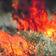 How Do Investigators Determine if a Wildfire Was Caused by Arson?